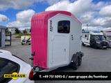 Humbaur Areion Pure Pferdeanhänger