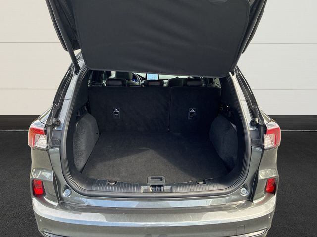 Ford Kuga PHEV ST-Line X B&OHUDPanoACCKameraWint