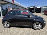 Fiat 500 C 1.2 8V Lounge SITZHEIZUNG,KLIMA,ALU,PDC - Fiat 500C: Sitzheizung