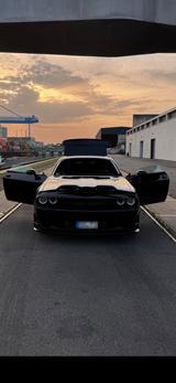 Dodge Challenger - Dodge Challenger in Düsseldorf