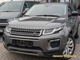 Land Rover Range Rover Evoque 2.0 Td4 SE 4x4 PANO LED XENON - Land Rover Range Rover Evoque in Wiesbaden