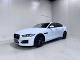 Jaguar XE 2.0t Benzine Autom. - R Sport - Leder - Topst - Jaguar XE mit Benzin-Antrieb