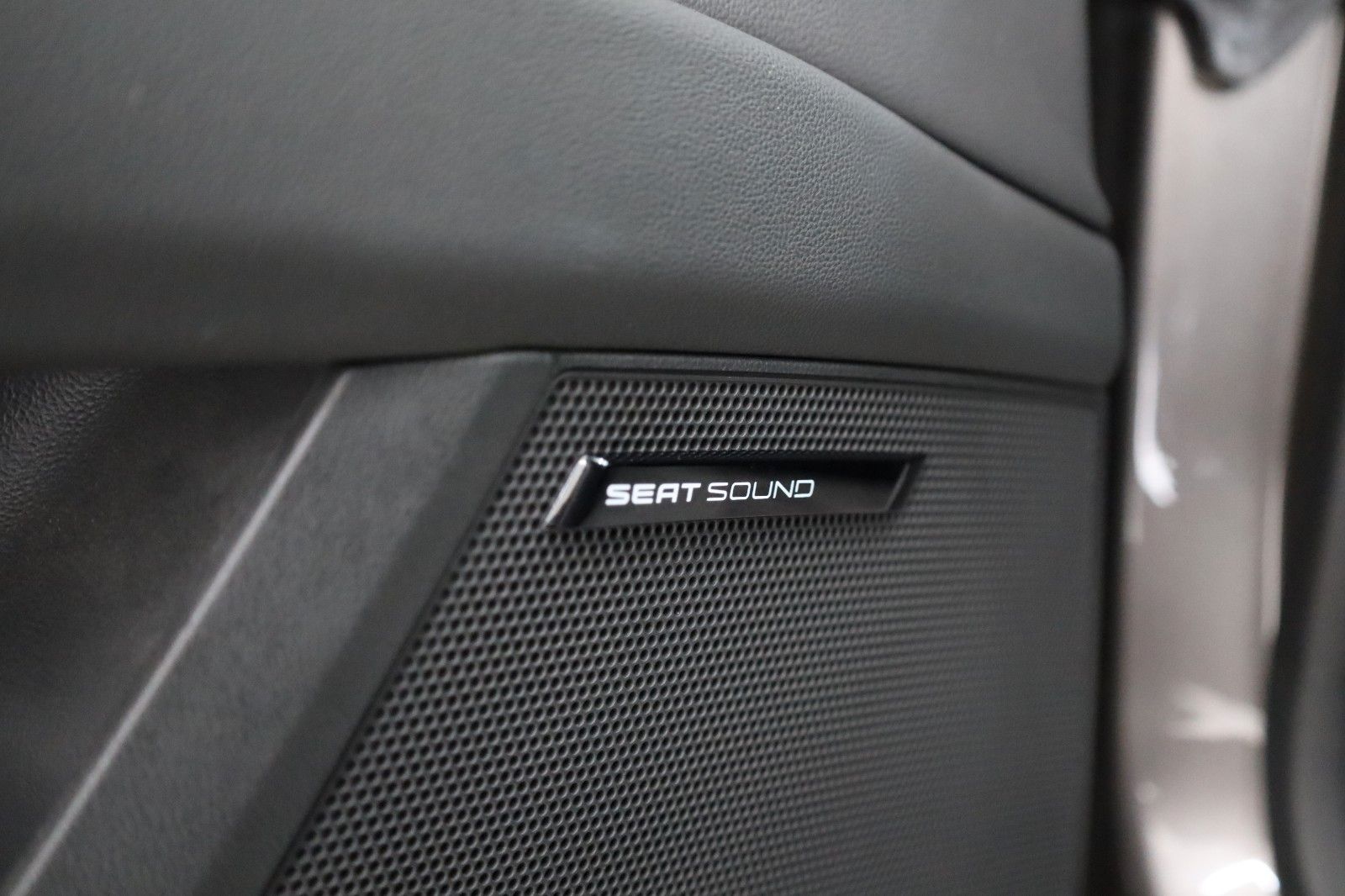 Fahrzeugabbildung SEAT Leon Xcellence T.Leder,SH,PDC,Allwetterreifen