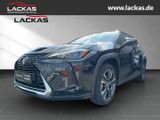 Lexus UX 250h STYLE*FACELIFT*NAVI*CARPLAY*SHZ*LED*GARA - Lexus: Geländewagen