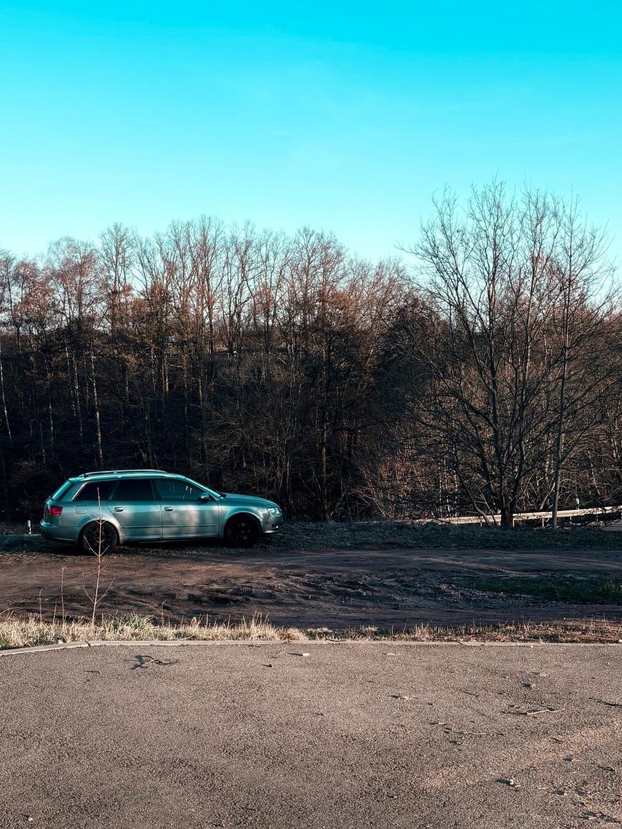 Audi A4 2005 — photo 6