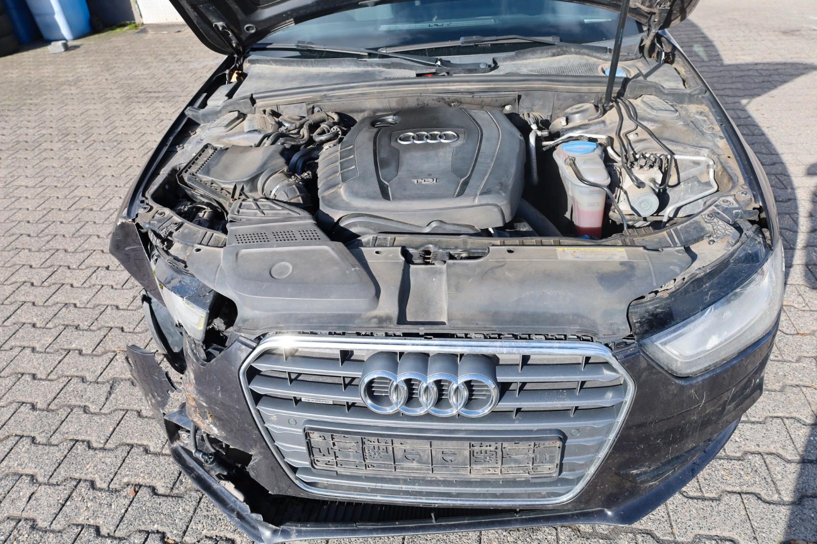 Audi Quattro 2014 — photo 5