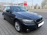 BMW 320i Touring (E91) - TÜV 03/28 - Dakot... - BMW 320: 320i E91