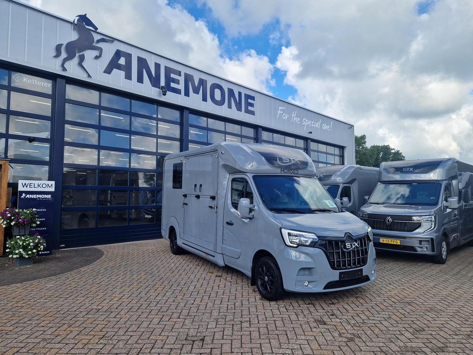 Renault Master STX S3 Haras, id 4