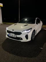 Kia Stinger 3.3 T-GDI AWD GT GT - weiße Kia Stinger