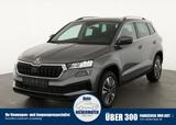 Skoda Karoq 1.5 TSI Selection, AHK, Kamera, Winter, 5- - Skoda Karoq Tageszulassungen