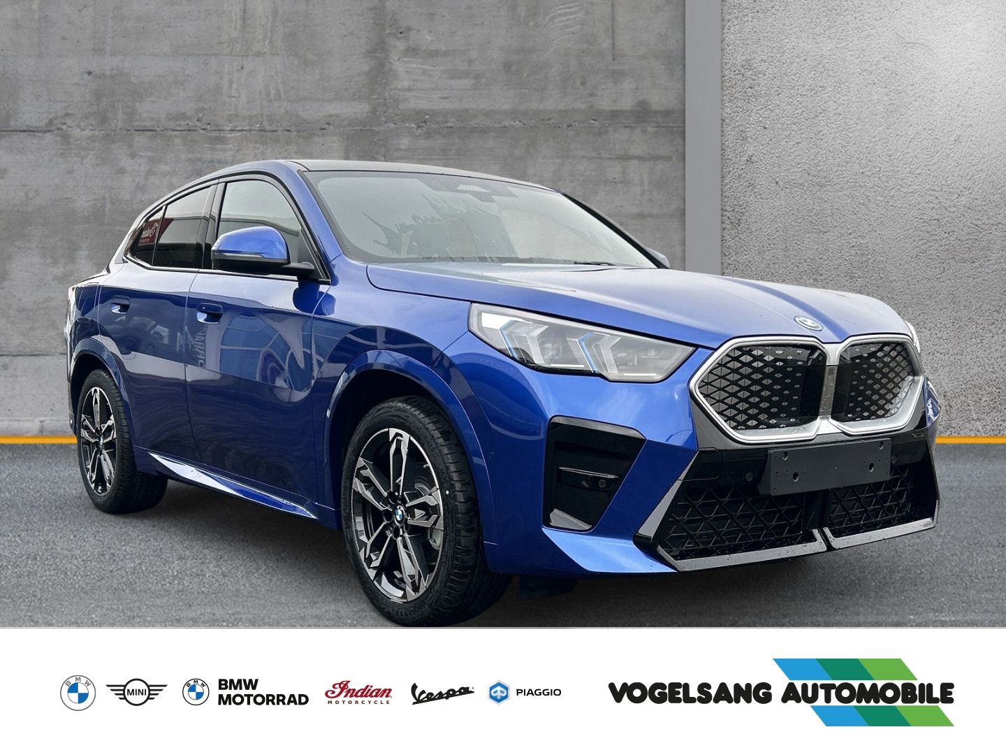 Fahrzeugabbildung BMW iX2 20 eDrive M Sport eDrive20 Park-Assistent Sp