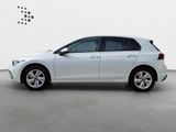 Volkswagen Golf Life 2.0 TDI Stand*RFK*HuD*Pano*H&K - Volkswagen Golf in Augsburg