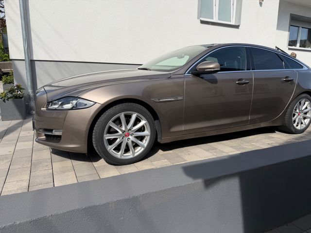 JAGUAR XJ
