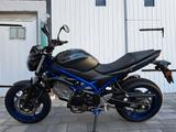 Suzuki SV 650 - nur 4.894 km - EZ 2021 - Top Zustand - SUZUKI SV 650 N