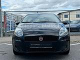Fiat Punto 1.2 8V POP *KLIMA*CITY-DRIVE* - Fiat Punto: 1.8