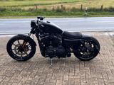 Harley-Davidson Sportster Iron 883 - HARLEY-DAVIDSON IRON 883