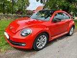 Volkswagen Beetle 1.2 TSI DSG CLUB