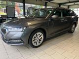 Skoda Octavia Combi Selection Plus - Skoda Octavia: Winterreifen