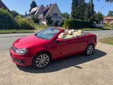 Volkswagen Eos 2.0 TDI Exclusive*Automatik*LED*Leder*uvm. - Volkswagen Eos: Exclusive