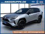 Toyota RAV 4 Hybrid 2Tone+Leder+el.Heckklappe - Toyota RAV 4 Gebrauchtwagen in Chemnitz