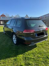 Volkswagen Golf 1.5 TSI DSG Highline Var. digital 8-fachTÜV - Volkswagen Golf: 8.1