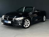 BMW 420d Cabrio Advantage Kamera Memory - BMW 420: Cabrio