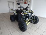 Aeon Cobra 424 SX EFI Euro 5 / Frühjahrs-Angebot - AEON COBRA