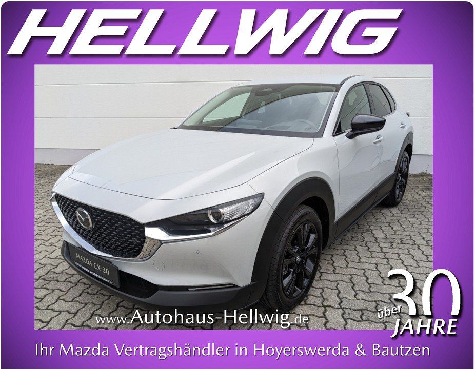 Mazda CX-30 2.5l (140PS) Homura Kamera Navi Head-up NE