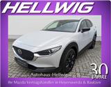 Mazda CX-30 2.5l (140PS) Nagisa Teilleder Bose Navi 1. - Mazda CX-30: Nagisa