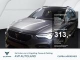 Cupra Ateca 2.0 TSI DSG | NAVI | AHK | ACC | - Cupra Ateca Jahreswagen