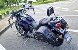 Kawasaki Vulcan 800 B Classic - Angebote