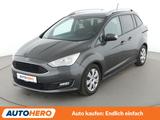 Ford Grand C-Max 1.0 EcoBoost Business Edition*NAVI* - Ford Grand C-Max: Van