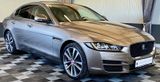 Jaguar XE Portfolio AWD, Panorama, Leder, Navi, Xenon - Jaguar XE