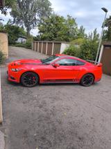 Ford Mustang 2.3 EcoBoost - Ford Mustang in Mannheim