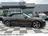 Audi A5 Cabriolet 2.0 TDI  Quattro S-Line, Navi, B&O - Audi A5: Braun