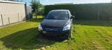 Kia cee'd / Ceed 1.4 CVVT Innenreinigung notwendig - Kia aus 2008: Cee D