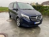 Mercedes-Benz V 250d Avantgarde Long Version Burmester 7P 