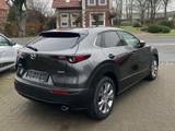 Mazda CX-30 L SKYACTIV-G 2.0 150PS M HYBRID 6GS AL-SEL - Mazda CX-30 mit Hybrid-Antrieb