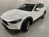 Mazda CX-30 SKYACTIV 2WD HUD+Navi+LED+Winterpaket+ACC - gebrauchte Mazda CX-30 aus dem Jahr 2021