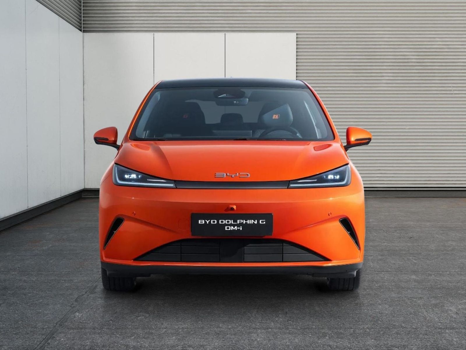 BYD DOLPHIN