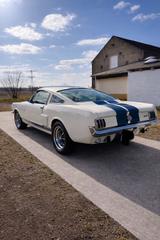 Ford Mustang Fastback 2+2 GT350 Shelby Tribute 5 Gang - Ford Mustang: Shelby Gt350