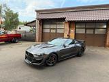 Ford GT 350 SHELBY*PREMIUM*NAVI*LED*GARANTIE*SERVICE - Ford Mustang Gebrauchtwagen in Hannover