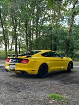 Ford Mustang 2.3 EcoBoost Auto - - Ford Mustang Gebrauchtwagen in Bielefeld