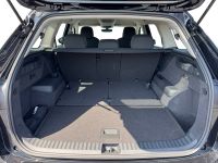 Skoda Kodiaq - Vorschau Bild 7