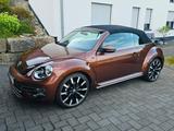 Volkswagen Beetle 1.4 TSI BMT ALLSTAR Cabriolet ALLSTAR - VW Beetle von privat