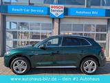 Audi Q5 40 TDI quattro sport*S-Line*Pano*Kamera* - mit Diesel-Antrieb: Grün, Geländewagen