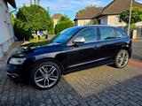 Audi SQ5 3.0 TDI tiptronic quattro - - Audi SQ5 in Hannover