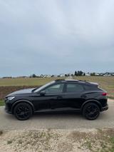 Cupra Formentor VZ Tribe Edition, Black Edition, Voll. - Cupra Formentor: Vz Tribe Edition