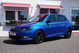 Skoda Fabia 1.2 TSI Joy Klimaaut. Navi Sitzheizung PDC - Skoda Fabia: 1.2