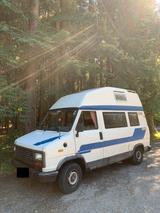 Peugeot goldi oldi BUS - Offers matching your search criteria